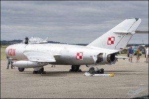 D75_8713a